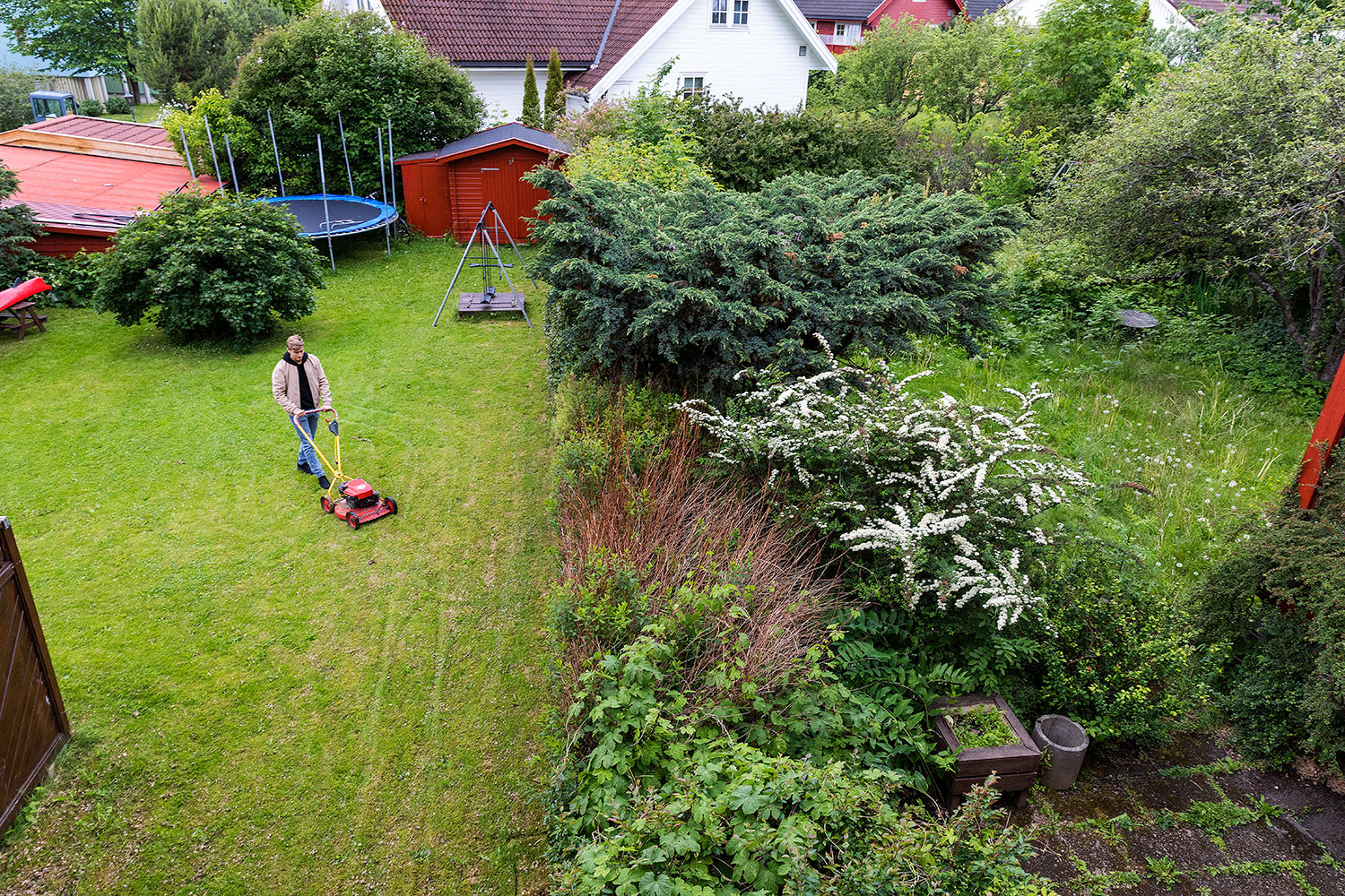 Mange tenker på biologisk mangfold når de planter i hager og på balkonger og terrasser. Og foreldre vil gjerne lære barna hvordan de kan dyrke selv. 