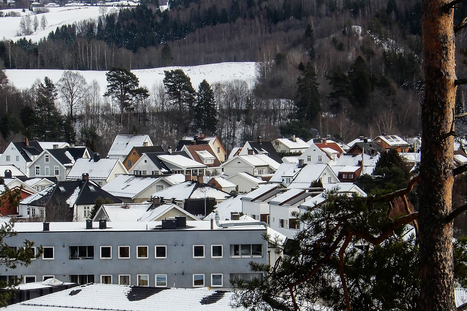 Omsetning av eiendommer i Ringerike kommune i uke 49