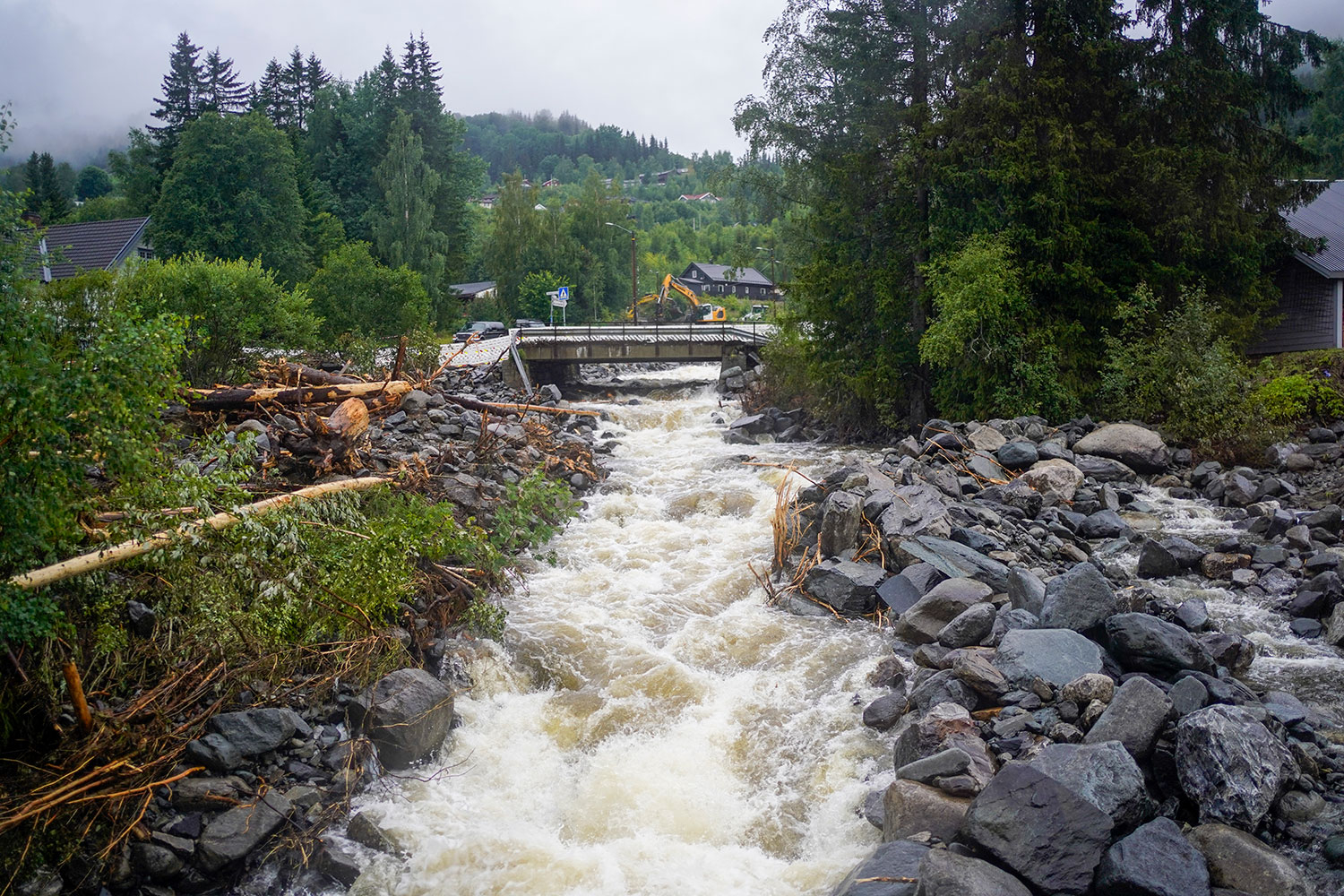 Ål og områdene rundt fikk under ekstremværet Hans kjenne på naturkreftene. Da ble blant annet veier og bekker ødelagt. Søndag ble tre husstander evakuert på grunn av rasfare. 