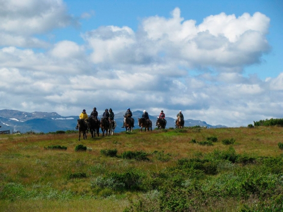 Hemsedal Hestesenter