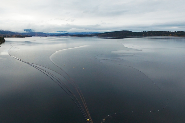 Rørene snor seg utover fjorden