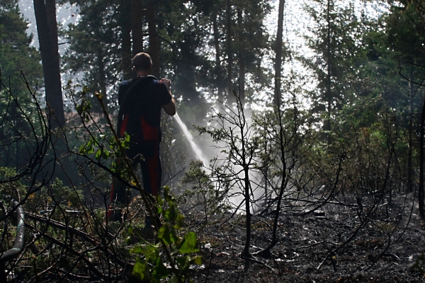 Tre over ledning skapte ild