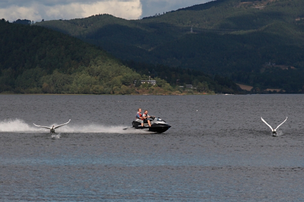 Steinsfjorden i 2016