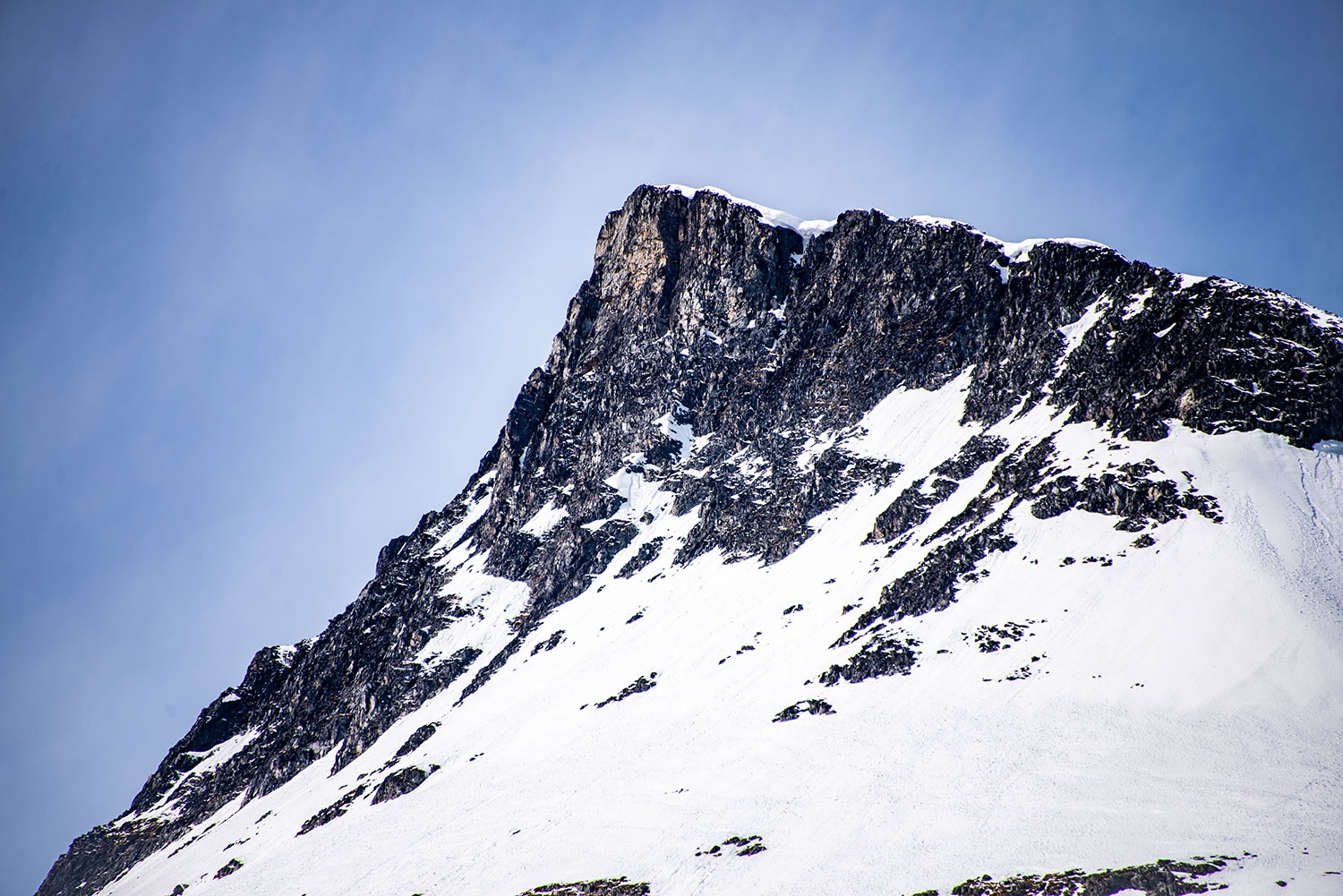 Nye Miljøstatus gir detaljert og oversiktlig innsikt i hvordan det står til med norsk natur og klima. Nettstedet er utviklet av Miljødirektoratet sammen med flere andre etater.