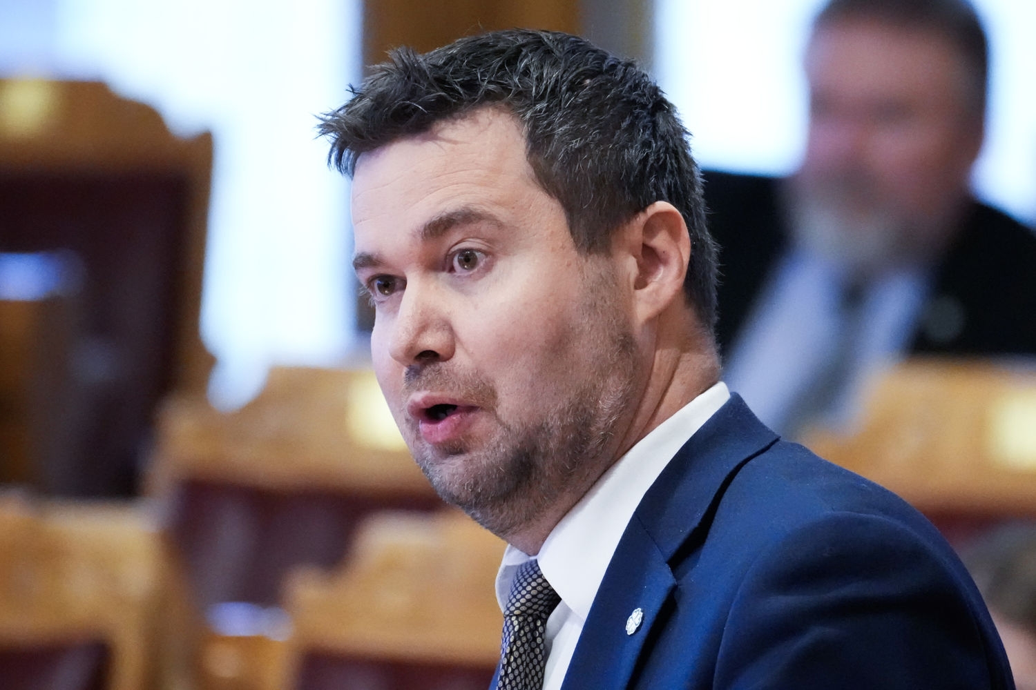 Stortingsrepresentant Geir Pollestad (Sp) mener de norske prestasjonene under sommerens fotball-VM har økt nasjonalfølelsen og gjort nordmenn mer motstandsdyktige mot EU-medlemskap.
